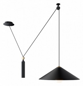 Подвесной светильник Maytoni Peso P080PL-01B в Режи - rezh.mebel24.online | фото 3