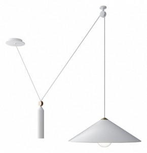 Подвесной светильник Maytoni Peso P080PL-01W в Режи - rezh.mebel24.online | фото 2