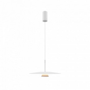 Подвесной светильник Maytoni Platte MOD352PL-L10W3K в Режи - rezh.mebel24.online | фото 4