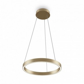 Подвесной светильник Maytoni Rim MOD058PL-L22BSK в Режи - rezh.mebel24.online | фото 2