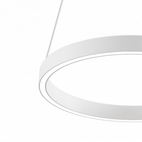 Подвесной светильник Maytoni Rim MOD058PL-L22WK в Режи - rezh.mebel24.online | фото 4