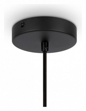 Подвесной светильник Maytoni Roots MOD191PL-01W в Режи - rezh.mebel24.online | фото 4