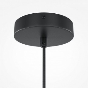 Подвесной светильник Maytoni Roots MOD194PL-01W1 в Режи - rezh.mebel24.online | фото 5