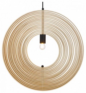 Подвесной светильник Maytoni Roots MOD197PL-01W2 в Режи - rezh.mebel24.online | фото 2