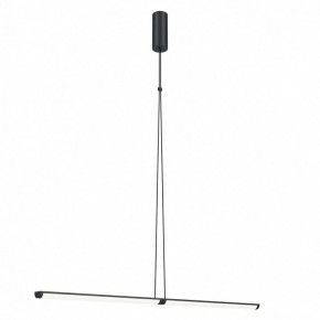 Подвесной светильник Maytoni Supersymmetry P096PL-L11BK1 в Режи - rezh.mebel24.online | фото 2
