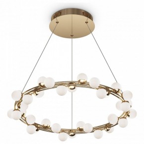 Подвесной светильник Maytoni Tessara MOD081PL-L50G3K в Режи - rezh.mebel24.online | фото 2