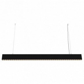 Подвесной светильник Maytoni Vinder P050PL-L40B4K в Режи - rezh.mebel24.online | фото 2