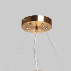 Подвесной светильник MW-Light Илоника 10 451013006 в Режи - rezh.mebel24.online | фото 10