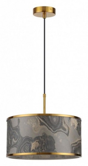 Подвесной светильник Odeon Light Bergi 5064/1 в Режи - rezh.mebel24.online | фото 2