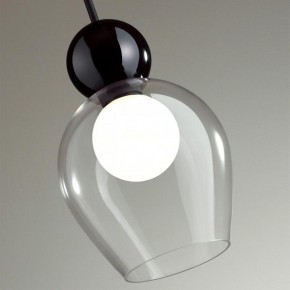 Подвесной светильник Odeon Light Blacky 2 5023/1 в Режи - rezh.mebel24.online | фото 6