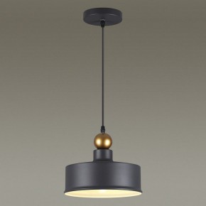 Подвесной светильник Odeon Light Bolli 4088/1 в Режи - rezh.mebel24.online | фото 4