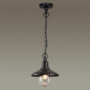 Подвесной светильник Odeon Light Campa 4965/1 в Режи - rezh.mebel24.online | фото 2