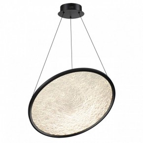 Подвесной светильник Odeon Light Fuso 7046/41L в Режи - rezh.mebel24.online | фото 2