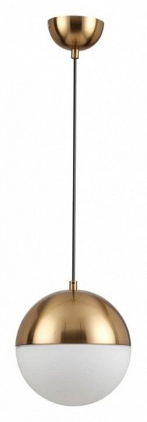 Подвесной светильник Odeon Light Pinga 4960/1A в Режи - rezh.mebel24.online | фото 3
