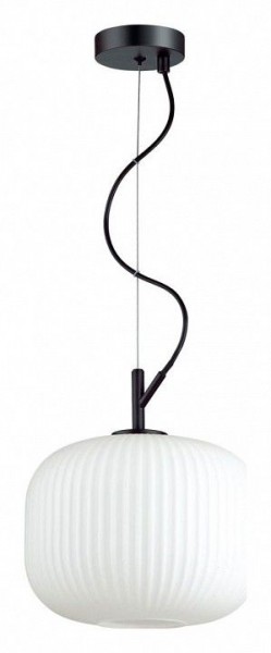 Подвесной светильник Odeon Light Roofi 4753/1 в Режи - rezh.mebel24.online | фото 2