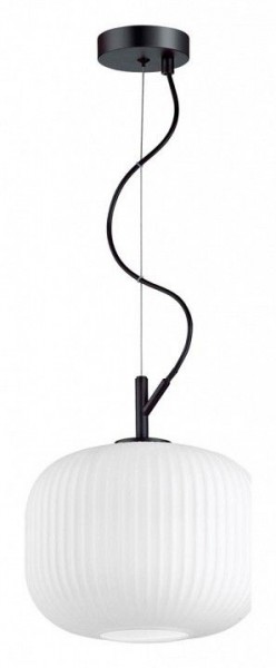 Подвесной светильник Odeon Light Roofi 4753/1 в Режи - rezh.mebel24.online | фото 3