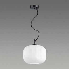 Подвесной светильник Odeon Light Roofi 4753/1 в Режи - rezh.mebel24.online | фото 4