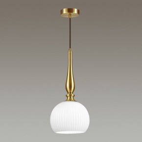 Подвесной светильник Odeon Light Runga 4767/1 в Режи - rezh.mebel24.online | фото 4