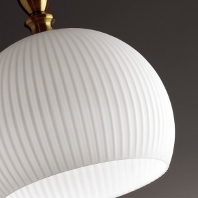 Подвесной светильник Odeon Light Runga 4767/1 в Режи - rezh.mebel24.online | фото 8