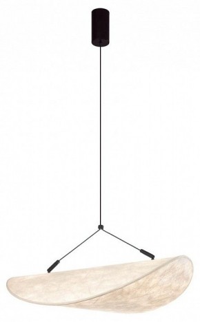 Подвесной светильник Odeon Light Silk 7067/30L в Режи - rezh.mebel24.online | фото 2