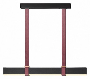 Подвесной светильник Odeon Light Vincent 6629/25L в Режи - rezh.mebel24.online | фото 2