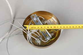 Подвесной светильник Omnilux Cesana OML-67103-08 в Режи - rezh.mebel24.online | фото 9