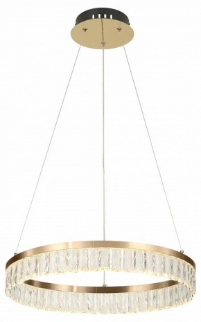 Подвесной светильник Rivoli Erika Б0061968 в Режи - rezh.mebel24.online | фото 6