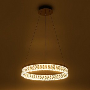 Подвесной светильник Rivoli Erika Б0061968 в Режи - rezh.mebel24.online | фото 7
