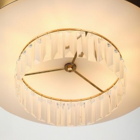 Подвесной светильник Rivoli Vickie Б0061902 в Режи - rezh.mebel24.online | фото 11