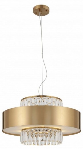 Подвесной светильник Rivoli Vickie Б0061902 в Режи - rezh.mebel24.online | фото 5