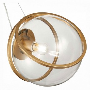 Подвесной светильник ST-Luce Acerra SL1181.313.01 в Режи - rezh.mebel24.online | фото 2