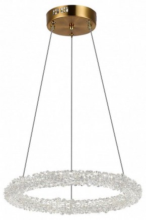 Подвесной светильник ST-Luce Avana SL6110.203.01 в Режи - rezh.mebel24.online | фото 5