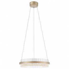 Подвесной светильник ST-Luce Cherio SL383.203.01 в Режи - rezh.mebel24.online | фото 3
