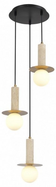 Подвесной светильник ST-Luce Earthy SL1194.303.03 в Режи - rezh.mebel24.online | фото 3