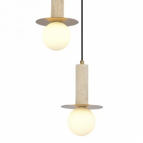 Подвесной светильник ST-Luce Earthy SL1194.303.03 в Режи - rezh.mebel24.online | фото 4