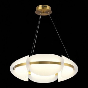 Подвесной светильник ST-Luce Etoile SL1304.203.45 в Режи - rezh.mebel24.online | фото 4