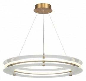 Подвесной светильник ST-Luce FAGY SL6245.203.01 в Режи - rezh.mebel24.online | фото 2