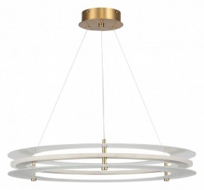 Подвесной светильник ST-Luce FAGY SL6245.203.01 в Режи - rezh.mebel24.online | фото 3