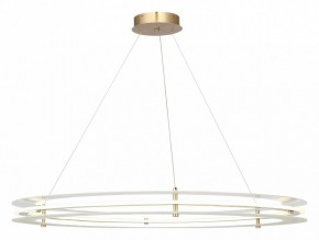 Подвесной светильник ST-Luce FAGY SL6245.213.01 в Режи - rezh.mebel24.online | фото 2