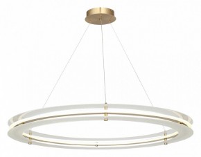 Подвесной светильник ST-Luce FAGY SL6245.213.01 в Режи - rezh.mebel24.online | фото 4
