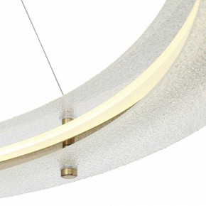 Подвесной светильник ST-Luce FAGY SL6245.213.01 в Режи - rezh.mebel24.online | фото 6