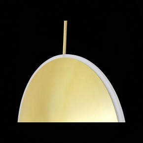 Подвесной светильник ST-Luce Imente SL1221.213.01 в Режи - rezh.mebel24.online | фото 9