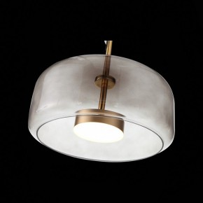 Подвесной светильник ST-Luce Palochino SL1053.243.01 в Режи - rezh.mebel24.online | фото