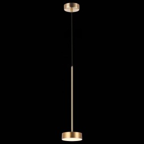 Подвесной светильник ST-Luce Pances SL6000.303.01 в Режи - rezh.mebel24.online | фото 4