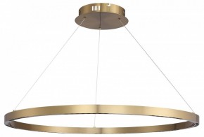 Подвесной светильник ST-Luce PARILLA SL6238.343.01 в Режи - rezh.mebel24.online | фото 3