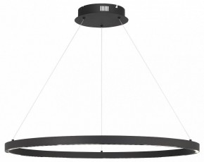 Подвесной светильник ST-Luce PARILLA SL6238.443.01 в Режи - rezh.mebel24.online | фото 2