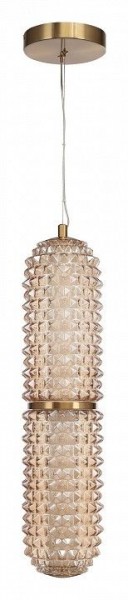Подвесной светильник ST-Luce SAGUARO SL6144.303.01 в Режи - rezh.mebel24.online | фото 3