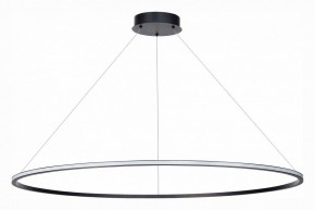Подвесной светильник ST-Luce ST604 OUT ST604.443.46 в Режи - rezh.mebel24.online | фото 2