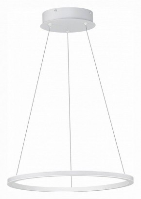 Подвесной светильник ST-Luce ST604 OUT ST604.543.22 в Режи - rezh.mebel24.online | фото 2