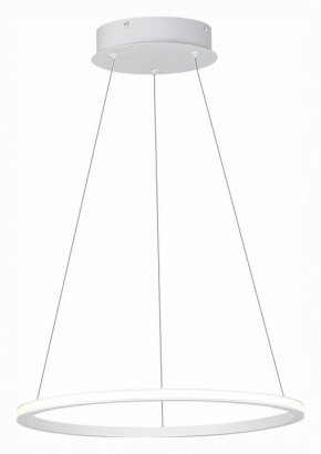Подвесной светильник ST-Luce ST604 OUT ST604.543.22 в Режи - rezh.mebel24.online | фото 3